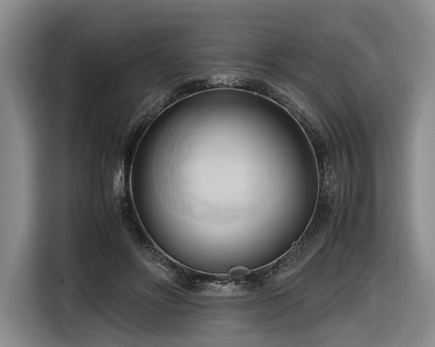 X0000116680502200912211626