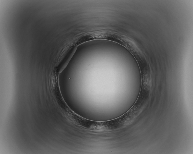 X0000116680503200912211626