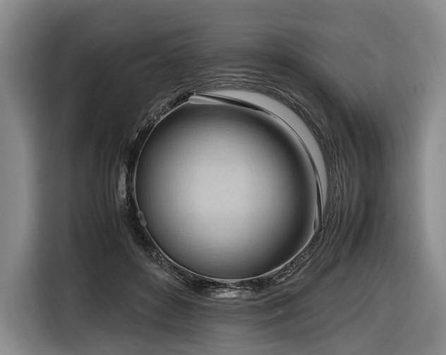 X0000116680504200912211626