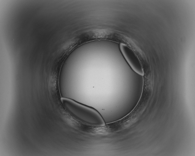 X0000116680505200912211626