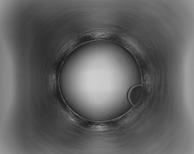 X0000116680506200912211626