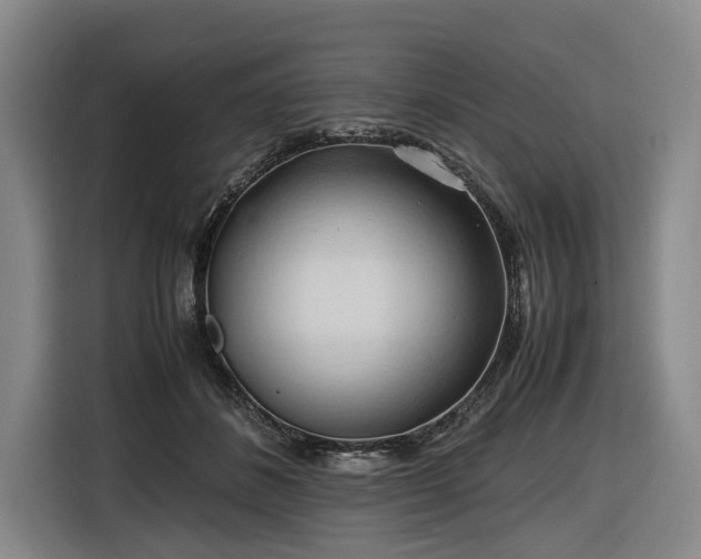 X0000116680508200912211626