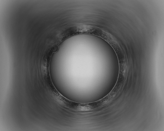 X0000116680510200912211626