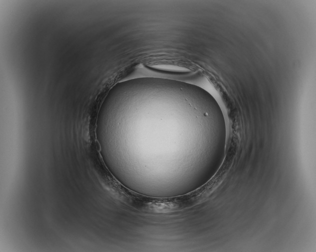 X0000116680512200912211626