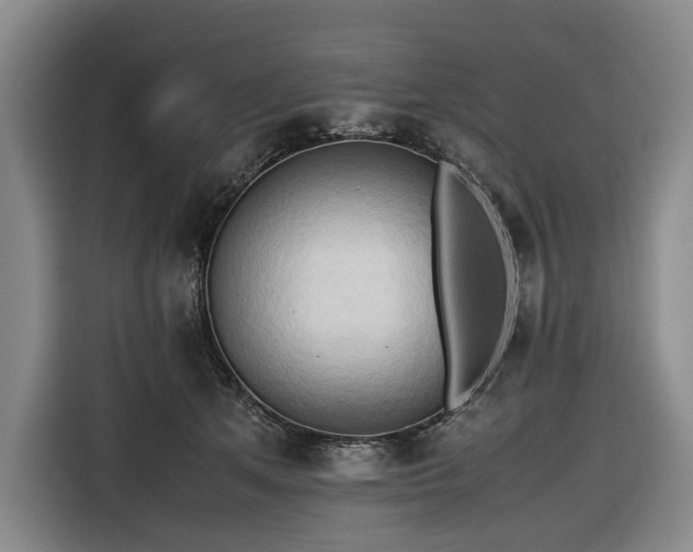 X0000116680513200912211626