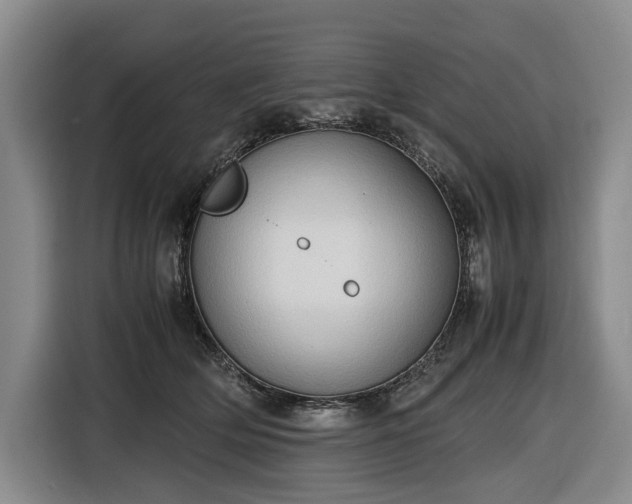 X0000116680514200912211626