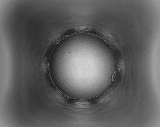 X0000116680515200912211626