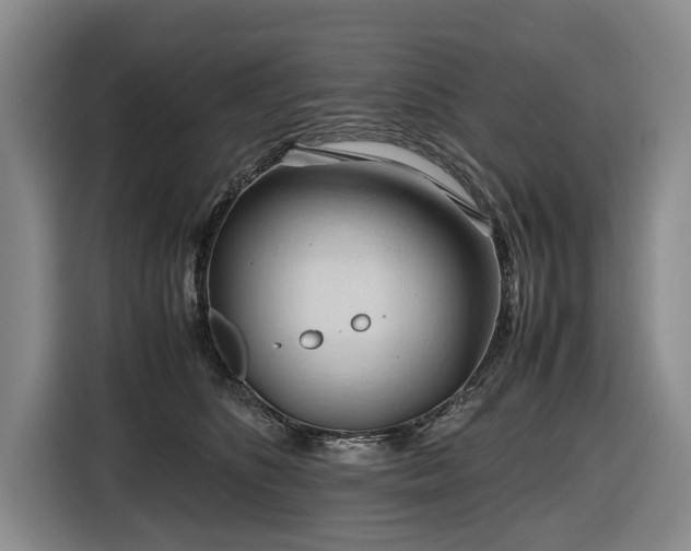 X0000116680516200912211626