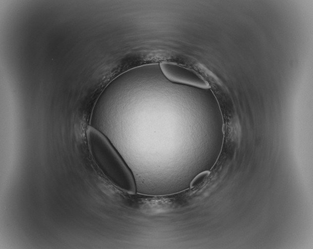 X0000116680517200912211626