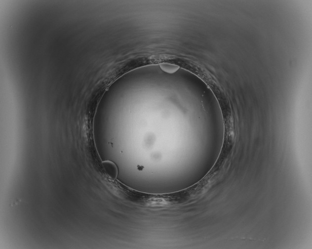 X0000116680519200912211626