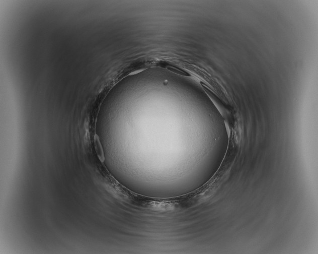 X0000116680520200912211626