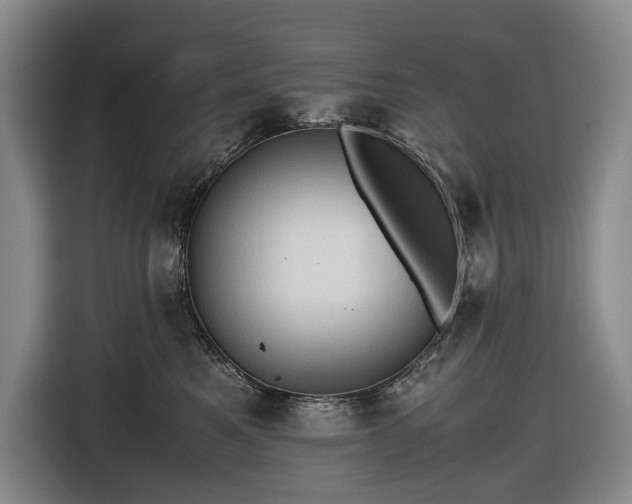 X0000116680521200912211626