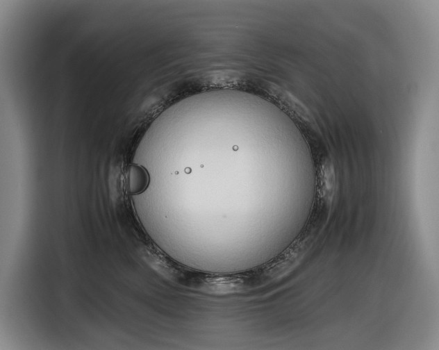 X0000116680522200912211626