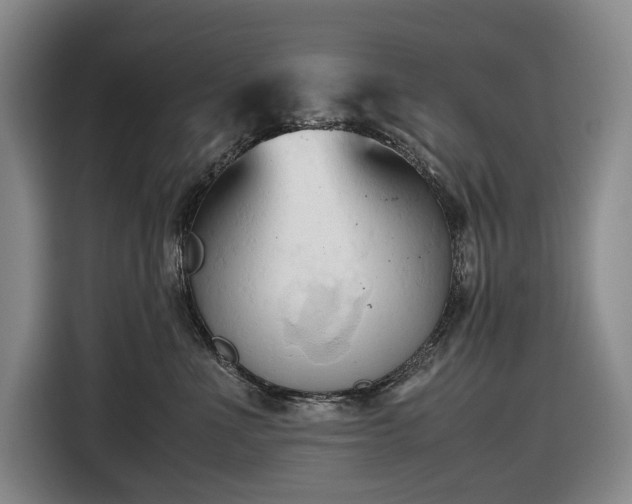 X0000116680523200912211626