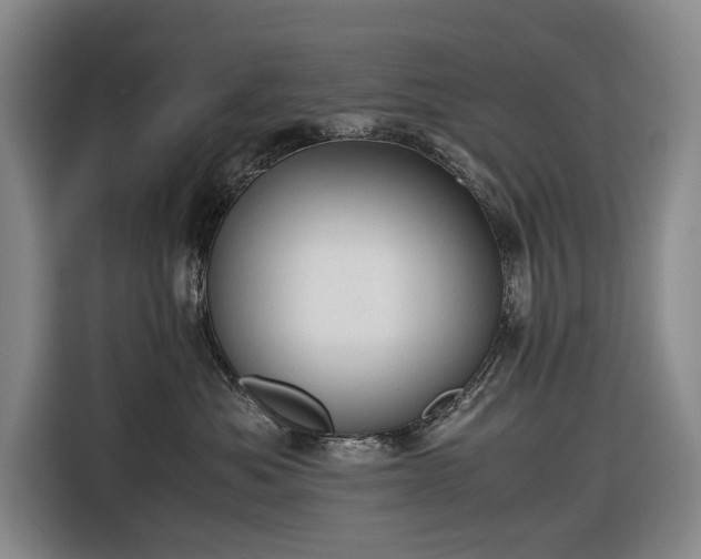 X0000116680525200912211626