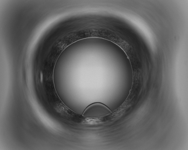 X0000116680526200912211626