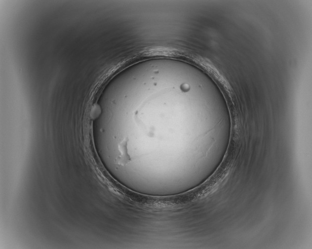 X0000116680529200912211625