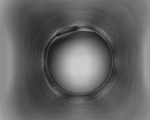 X0000116680530200912211625