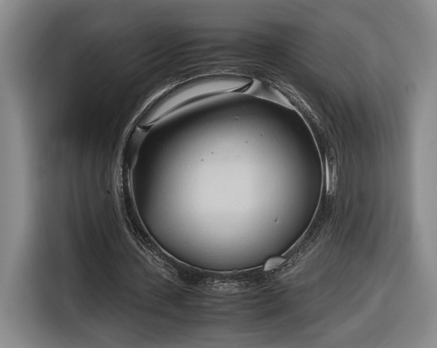 X0000116680531200912211625