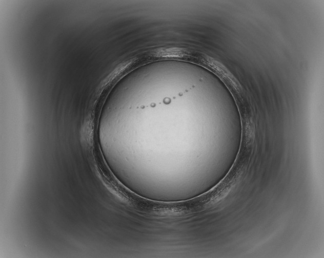 X0000116680533200912211625