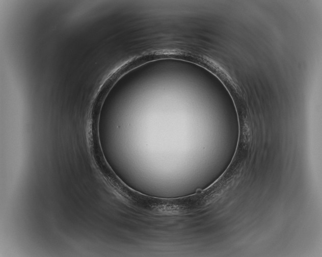 X0000116680535200912211625