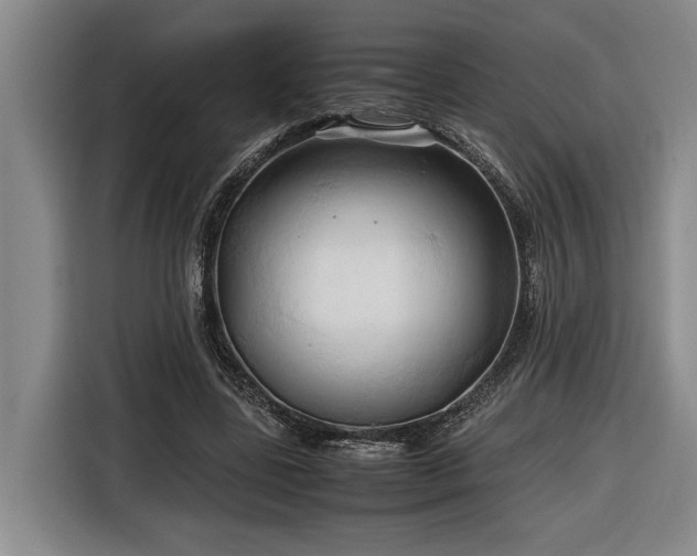 X0000116680539200912211626