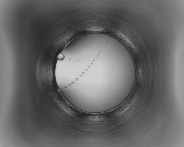 X0000116680541200912211626