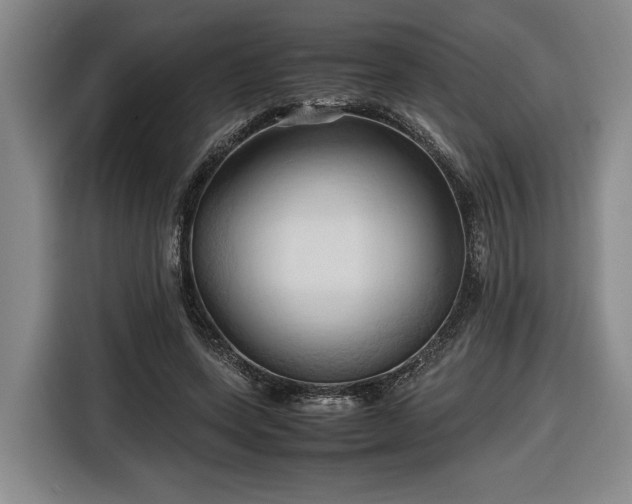 X0000116680543200912211626