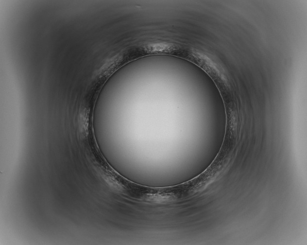 X0000116680545200912211626