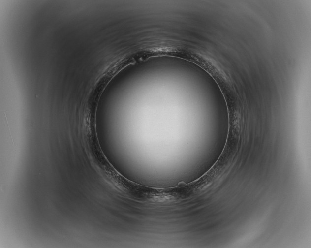 X0000116680547200912211626