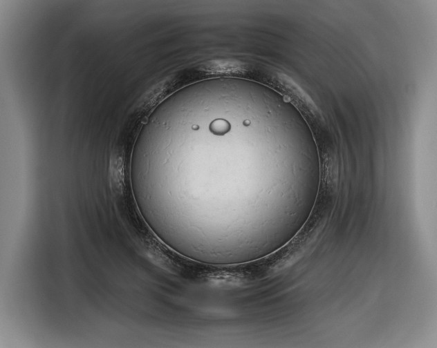 X0000116680549200912211626