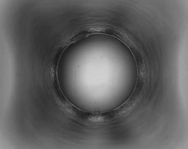 X0000116680551200912211626