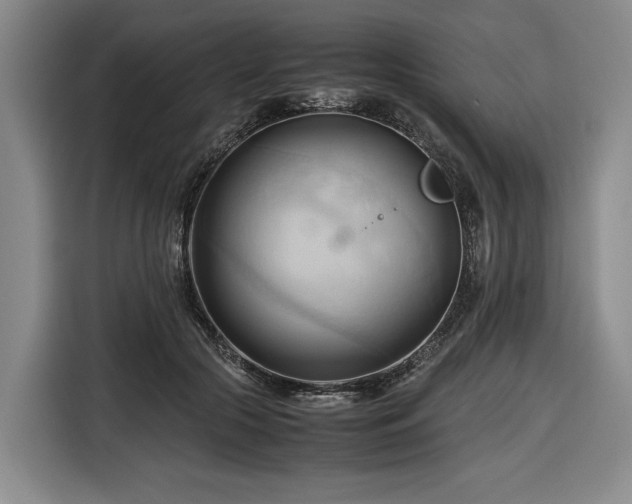 X0000116680553200912211626