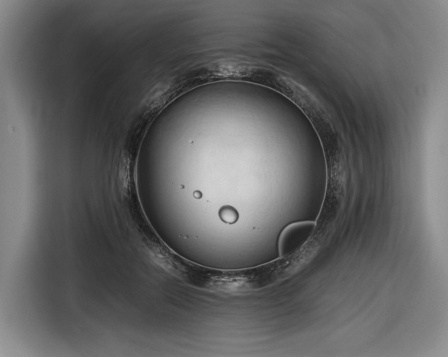 X0000116680554200912211626