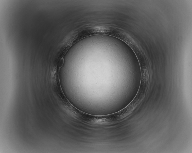 X0000116680557200912211626