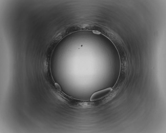 X0000116680558200912211626