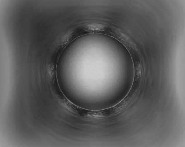 X0000116680559200912211626