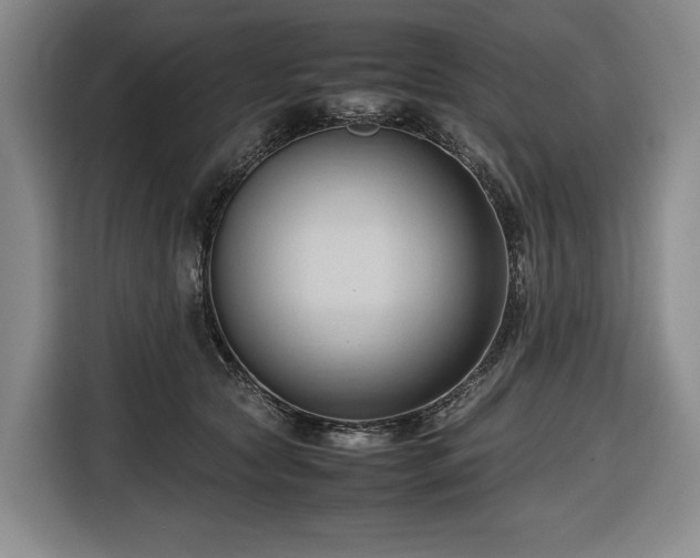 X0000116680561200912211626