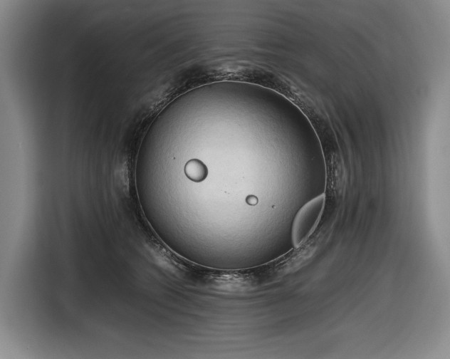 X0000116680562200912211626