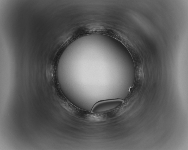 X0000116680567200912211626