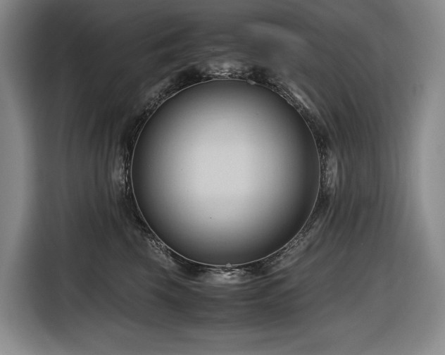 X0000116680569200912211626