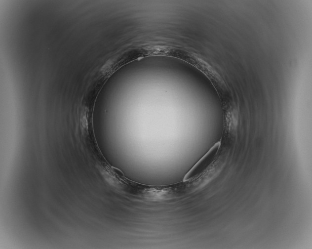 X0000116680570200912211626