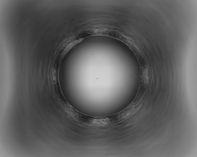 X0000116680571200912211626