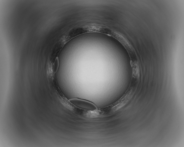 X0000116680573200912211626