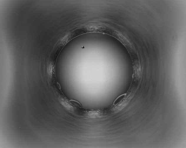 X0000116680574200912211626