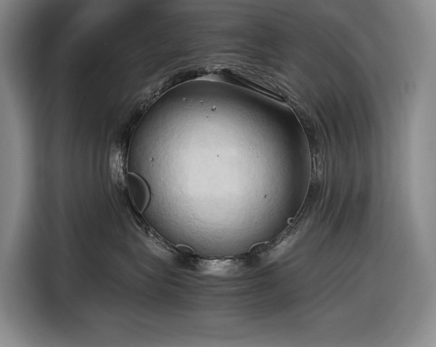 X0000116680575200912211626