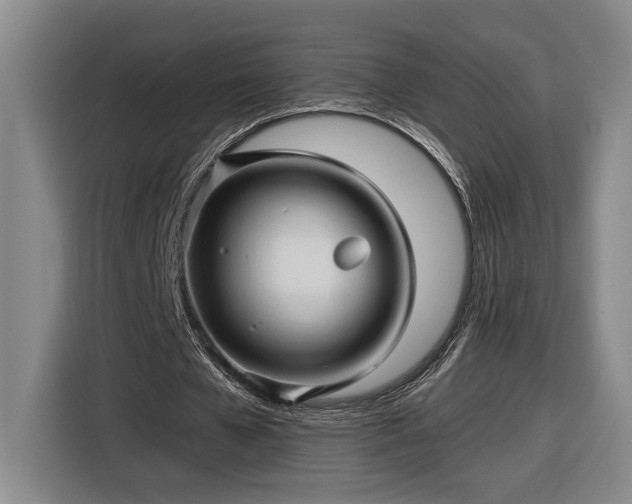 X0000116680577200912211625