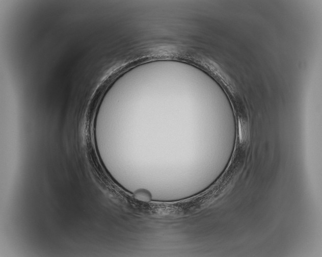 X0000116680579200912211625