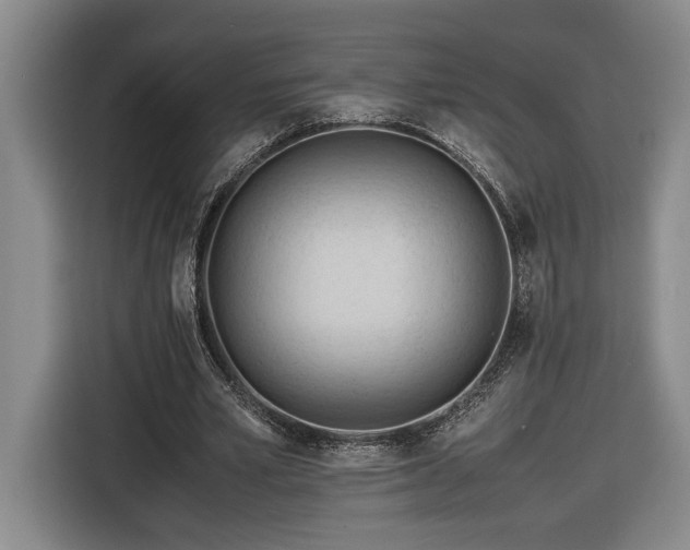 X0000116680581200912211625