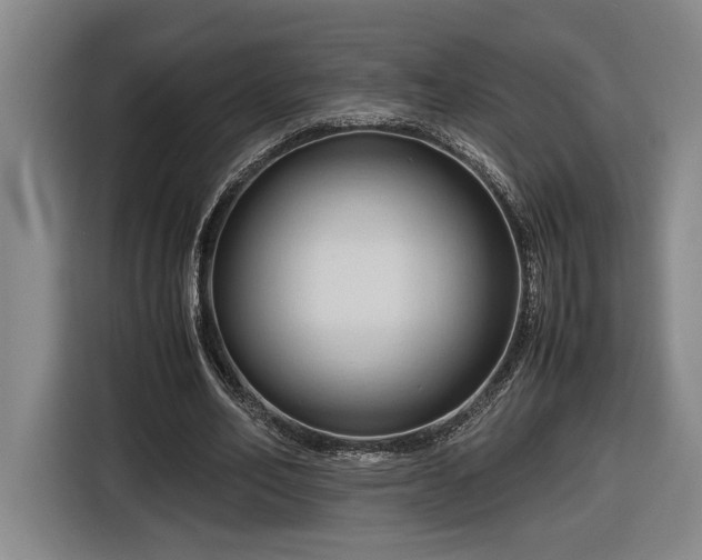 X0000116680582200912211625